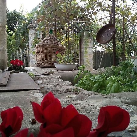 L'Aranceto Di Giorgia Bed & Breakfast Trani Ngoại thất bức ảnh